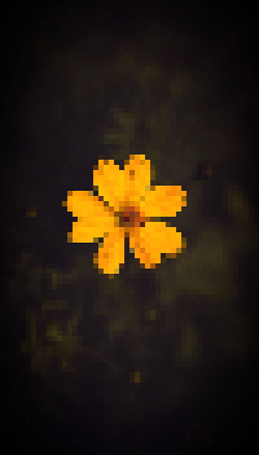 Yellow Flower